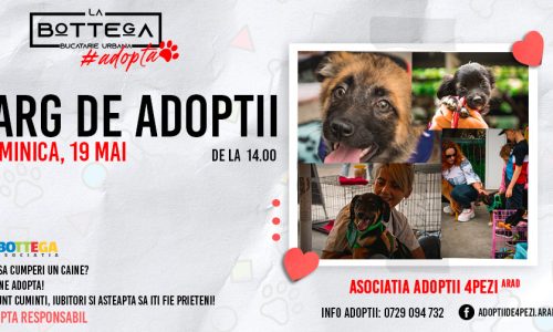 441338987_757432079882897_721557297281146521_n